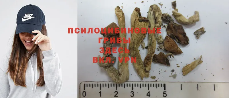 Псилоцибиновые грибы MAGIC MUSHROOMS Волгоград